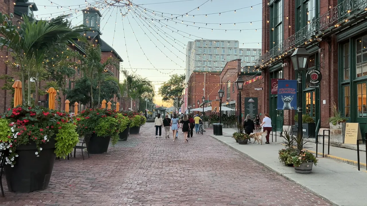 A brick pedestrian street at golden hour, lights strung overhead.